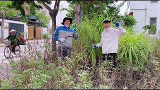 The neighbors were indifferent as we cleared the grass and trash next to their house