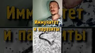 Иммунитет и паразиты #гельминты #паразиты #антипаразитарный