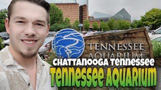 TENNESSEE AQUARIUM - Chattanooga Tennessee | Episode 7