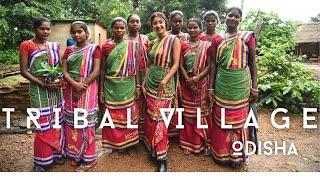 I Stayed With The Tribals In Their Village In A Jungle Of Odisha | Talkin Travel