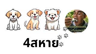 สามสหายของไชย์พล