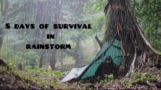 Cozy Camping: 5 Days of Survival in the Rain with a Bushcraft Shelter.