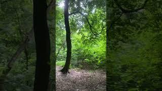 Місце сили 01.06.25 #маркволхов