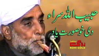 Saday Naal Bhoral Aa - Flute Master - Habib Ullah Saraa- Rohi Gold