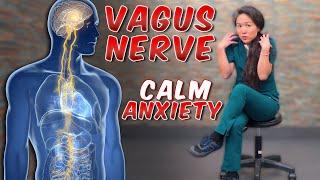 4 Ways to Calm Anxiety with Vagus Nerve Exercises