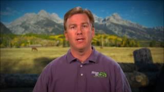 Interview Lighting Demo