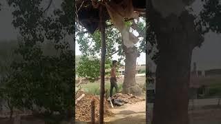 Irshad bhai ka kahar