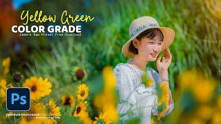 Photoshop Tutorial: Yellow Green Colour Grading in Photoshop । Adobe Photoshop Photo Editing