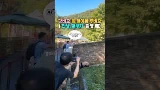 강바오를 알아본 푸바오..