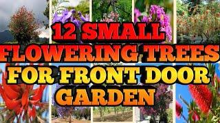 12 Best Small flowering trees for front door small garden