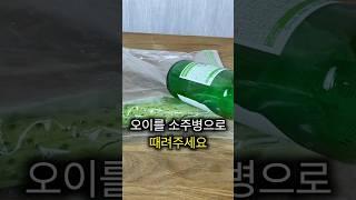 오이 그냥 두드렸을 뿐인데, 맛있는데요!