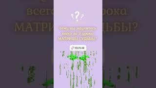 Сделай правильный выбор прямо сейчас и приходи на онлайн обучение методу Матрица Судьбы. Нумерология