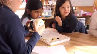 Confidence and Agency in the Whitby School Classroom