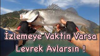 Garanti tavsiye değildir ama LEVREK  avında son derece etkilidir !
