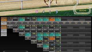 Queen`s cup Horse racing - Station(ENG)