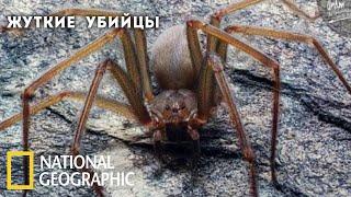 Самые жуткие убийцы | Документальный фильм National Geographic