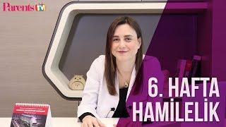 Parents TV - 6. Hafta Hamilelik