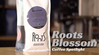 Coffee Spotlight - Roots Blossom (Wholesale) | Bridge Coffee Roasters