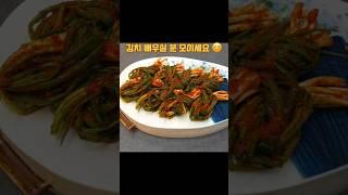 김치 개인 요리수업 학원 대표님이 바쁘신데 집식구 만들어 드릴려고 시간내서 수강 왕초보반, 원데이클래스 배우러 오실래요?⭐️송파구 오금동 케이맘요리교실 010 7925 2236