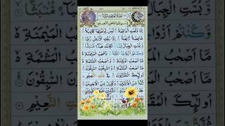 Surah Waqiah(Waqia)| viral #qirat #quran