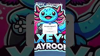 Axey’s playroom