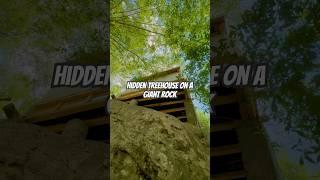 Hidden Treehouse on a Giant Rock!  | Nature’s Secret Spot #travel #travelvlog #TreehouseTour