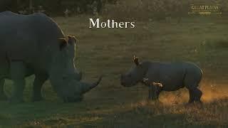 Great Plains Honouring Mothers | Great Plains Conservation