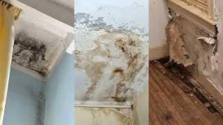 Water Damage Silver Lake CA 90026 Flood Damage Restoration