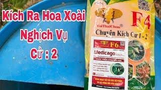 Kích Ra Hoa Xoài Nghịch Vụ, Cử 2 | VTK.CHANNEL