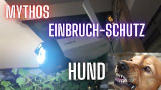 Mythos: Hund als Einbruchschutz?