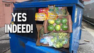 Dumpster Diving-  Watermelons and Cookies and MORE! + The Critter Cam