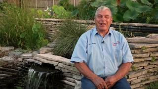 How to start up a NEW KOI POND