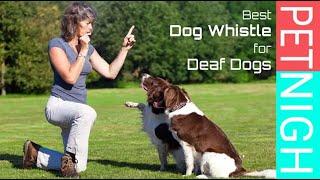 Best Dog Whistle for Deaf Dogs (Reviews) of 2022