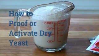 How to Proof or Activate Dry Yeast