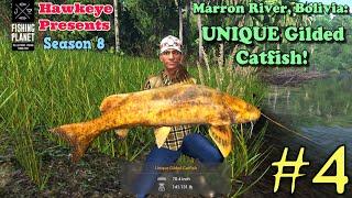 Fishing Planet #4 - S8 - Marron River, Bolivia: UNIQUE Gilded Catfish!