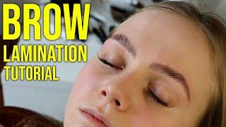 HD Brow Lamination Step By Step Tutorial [Big Brows]