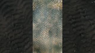 Waves of Mediterranean Sea, Israel | Mozart – Requiem in D minor, K. 626 III. Sequence – Confutatis