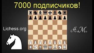 Нас 7000! Игра со зрителями! ШАХМАТЫ.Андрей Микитин.