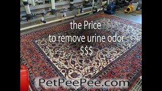 Guide to Oriental Rug Cleaning Cost $$$