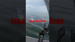 Ocean King Salmon Marine Area 1 Illwaco Astoria Chinook Coho Pacific Ocean #fishing #outdoors #pnw