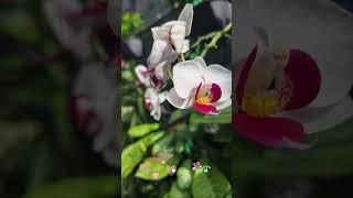來去看花花世界