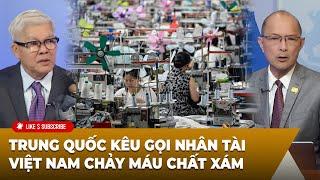 Tin Nổi Bật (09-26-24) Trung quốc kêu gọi nhân tài - Việt Nam ᴄʜảʏ ᴍáᴜ chất xám