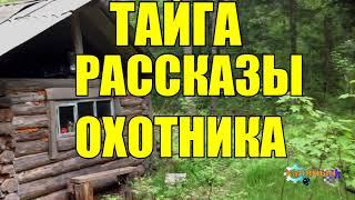 ТАЕЖНЫЕ ПРИКЛЮЧЕНИЯ | Рассказы охотника