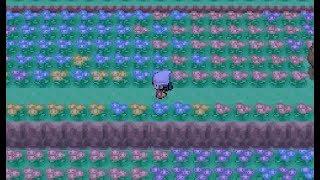 포켓몬스터 디아루가 BGM 26곡 메들리 with 피아노 (Pokemon Diamond BGM Piano Medley 26 Songs)