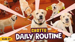 Chottu உடன் ஒரு நாள்  | Chottu Daily Routine | Vlog 27 | Mr Chottu