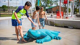 SplashPack Lizard - Universal - Aquatix®