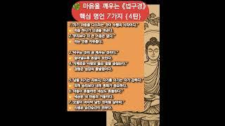 #법구경4탄 #명언모음 #마음챙김 #힐링글귀 #자기계발 #불교명언 #짧은명언 #하루명언 #오늘의말씀 #긍정 에너지