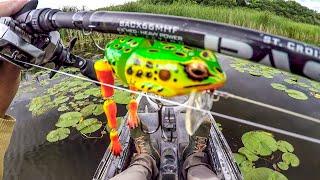 Hammering Bass With Freddy The Frog!