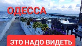 20 октября .Одесса.Тревожная обстановка.Как же я его люблю  Это надо видеть 