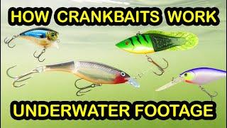 How To Fish Crankbaits and Types of Crankbaits - Underwater Fishing Lures & Crankbait Tips